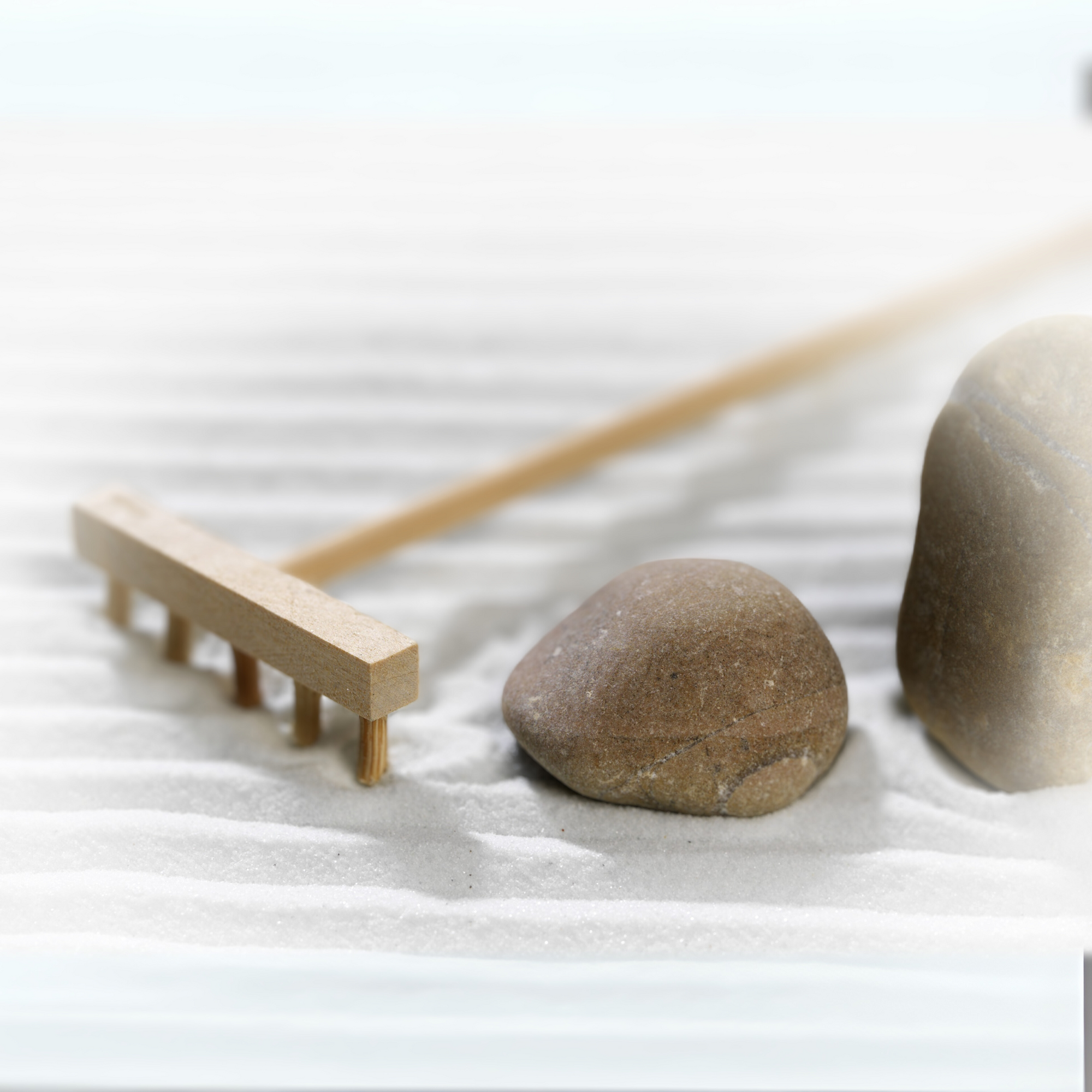 Za-Zen Garden- Novice Black- By Klaus Bosch Za-Zen Garden- Novice Black- By Klaus Bosch