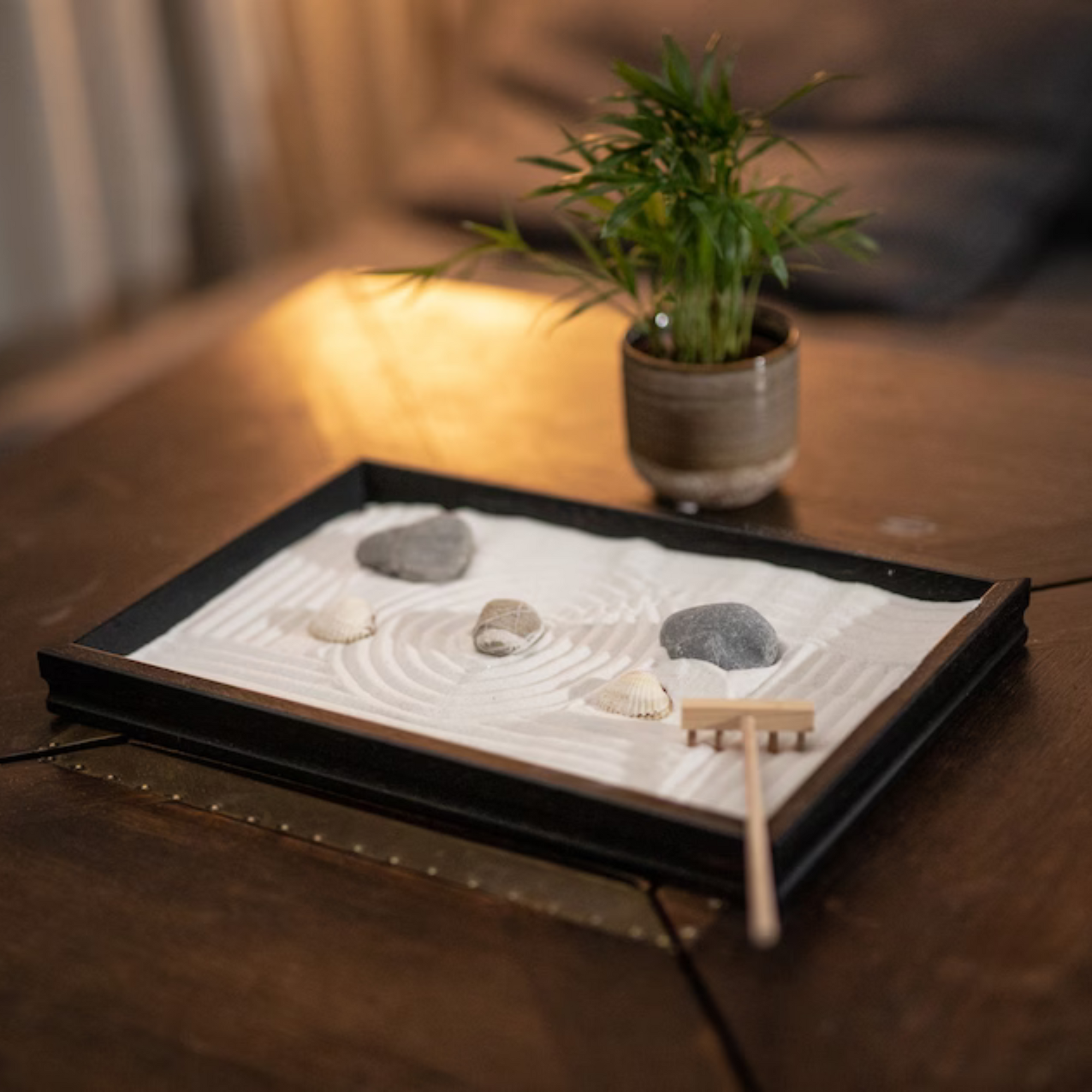 Za-Zen Garden- Novice Black- By Klaus Bosch Za-Zen Garden- Novice Black- By Klaus Bosch