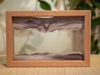 Picture of KB Collection Horizon Canyon Sand Art plant- By Klaus Bosch sold by MovingSandArt.com